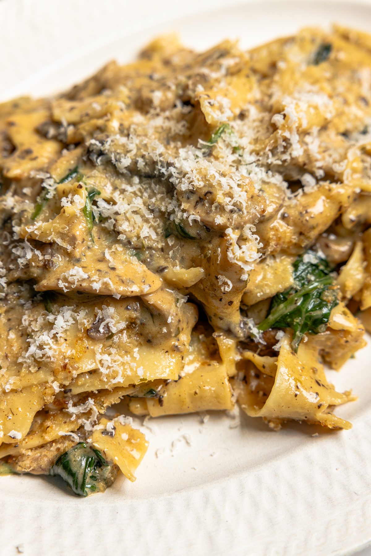 Truffle Mushroom Pappardelle